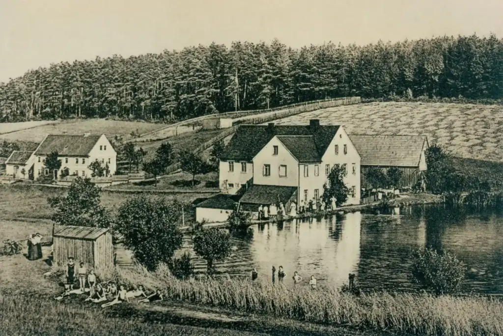 Sumpfmühle Geschichte